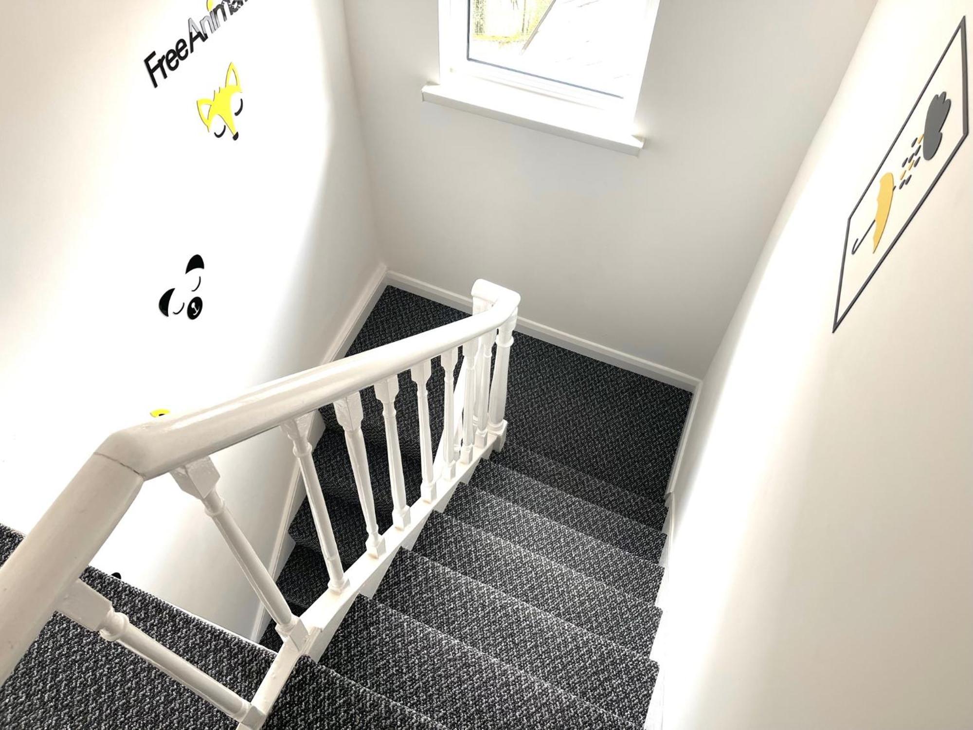 Entire Yellowapt Near Belfast City Centre - Free Parking - Up To 3 Guests - 2 Beds المظهر الخارجي الصورة